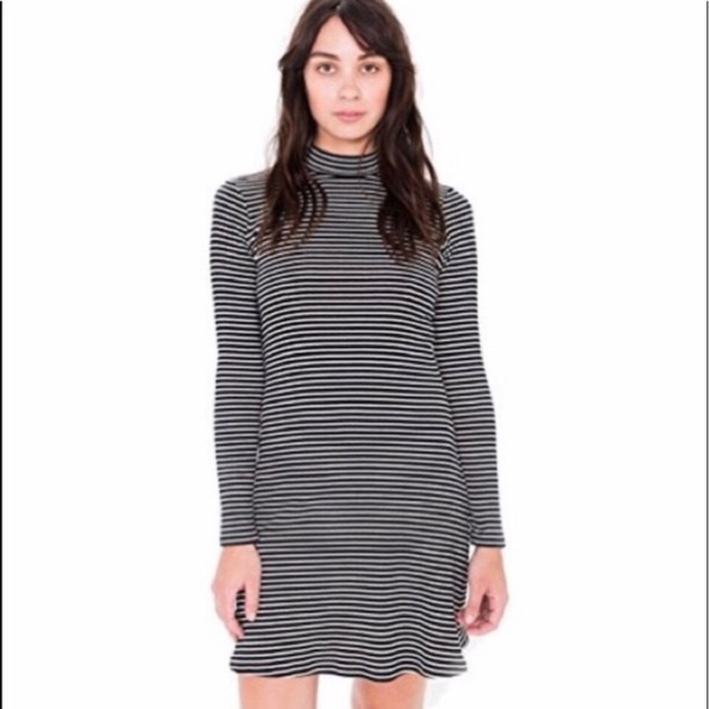 American Apparel Striped Turtleneck Dress